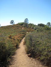 Mount Diablo State Park