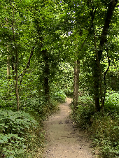 Castlewood State Park