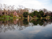 Forest Park